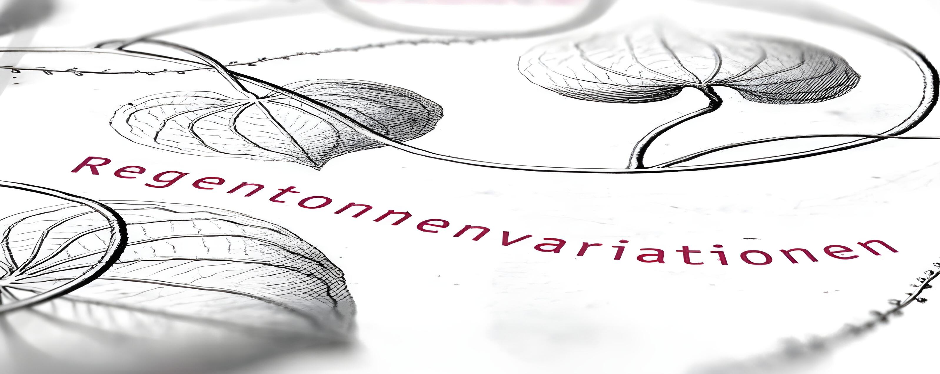 Regentonnenvariationen