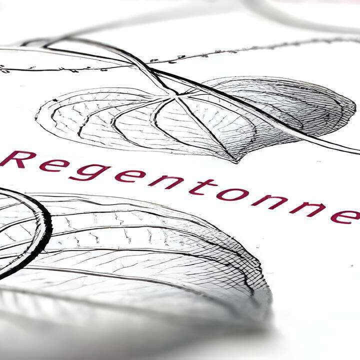 Regentonnenvariationen